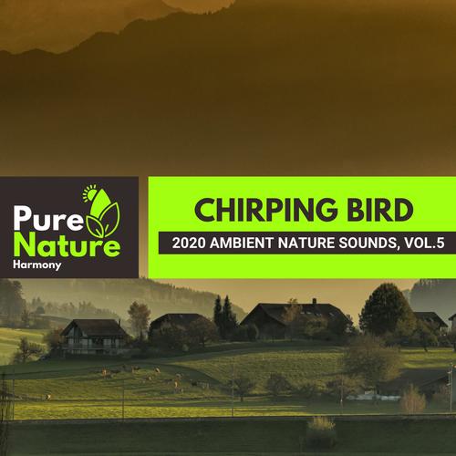 Chirping Bird - 2020 Ambient Nature Sounds, Vol.5