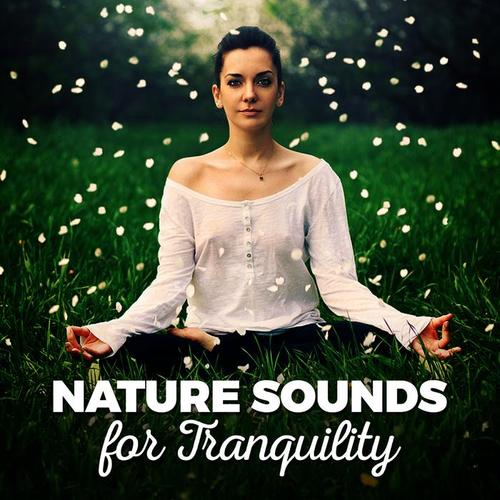 Nature Sounds for Tranquility