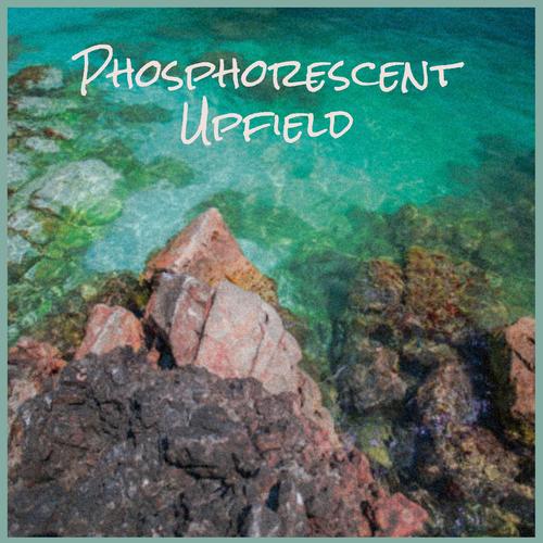 Phosphorescent Upfield