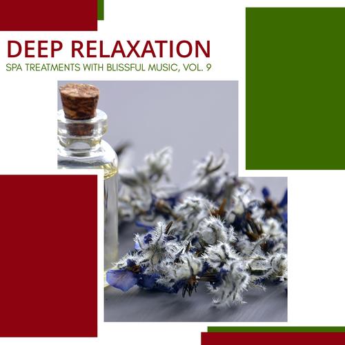 Deep Relaxation - Spa Treatments With Blissful Music, Vol. 9