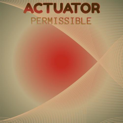 Actuator Permissible