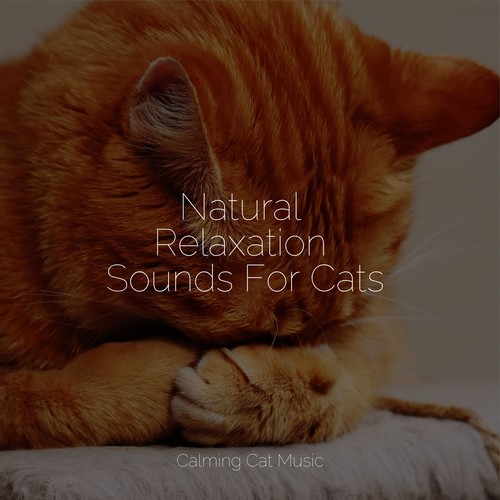 Natural Relaxation Sounds For Cats