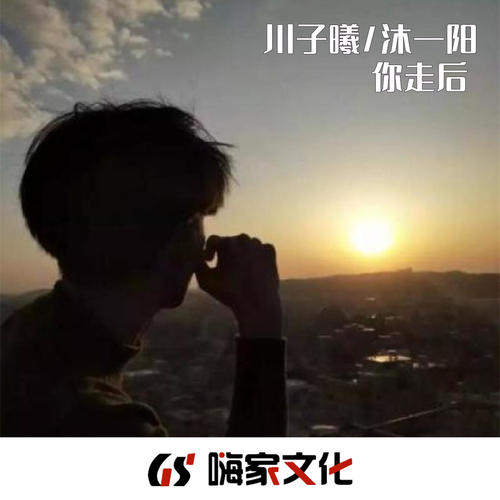我走后
