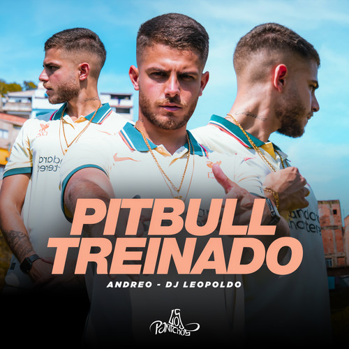 Pitbull Treinado