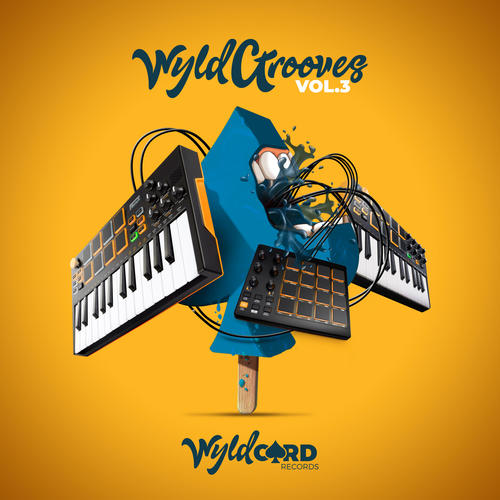 WyldGrooves, Vol. 3