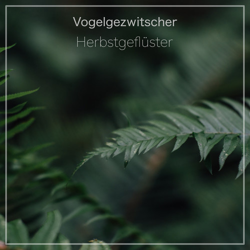 Herbstgeflüster