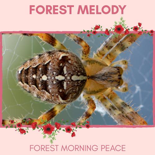 Forest Melody - Forest Morning Peace