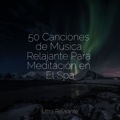 50 Canciones de Música Relajante Para Meditación en El Spa