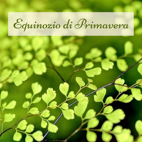 Equinozio di Primavera – Musica al Pianoforte per un Dolce Risveglio e la Pratica Quotidiana di Yoga e Meditazione