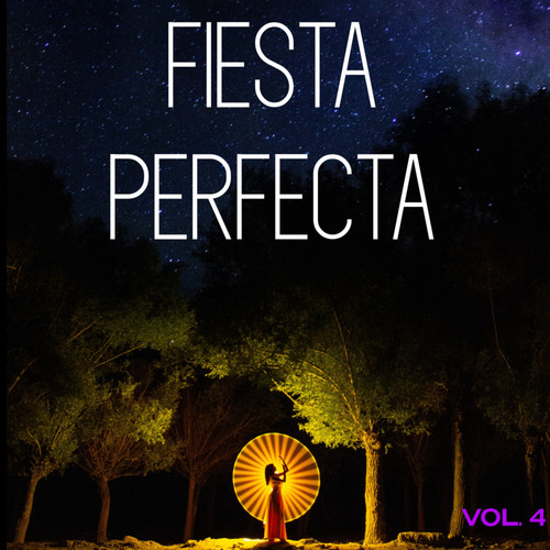 Fiesta Perfecta Vol. 4