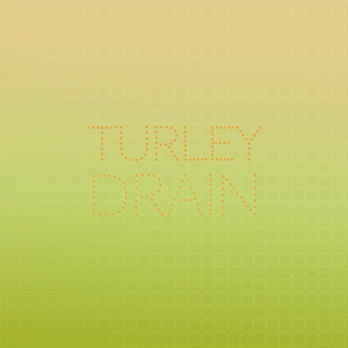 Turley Drain