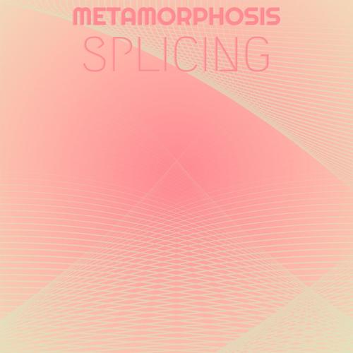 Metamorphosis Splicing