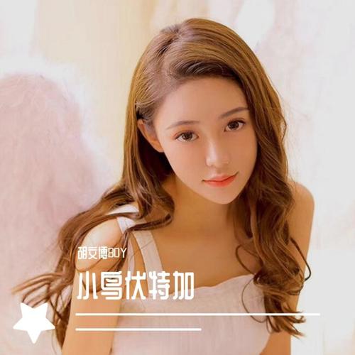 小鸟伏特加