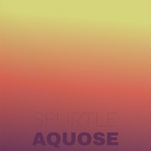 Spurtle Aquose