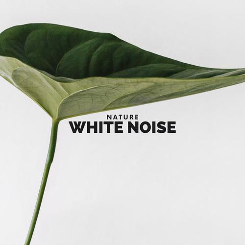 Nature White Noise