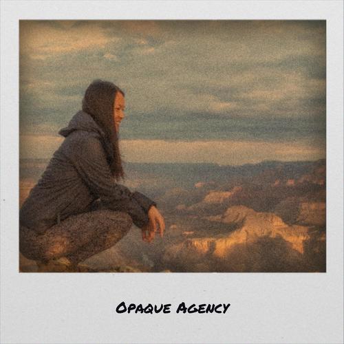 Opaque Agency