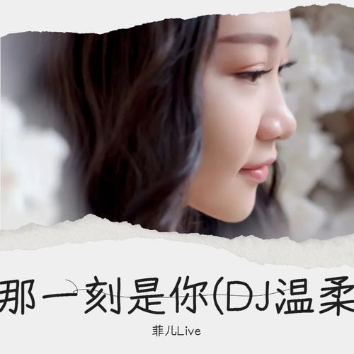 那一刻是你(DJ温柔版)