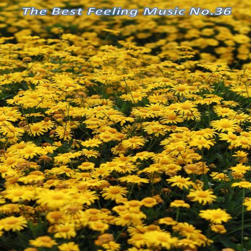 The Best Feeling Music No.36