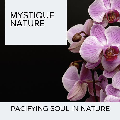 Mystique Nature - Pacifying Soul in Nature