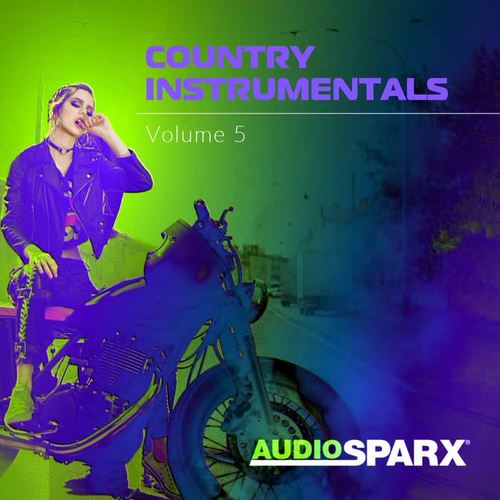 Country Instrumentals Volume 5