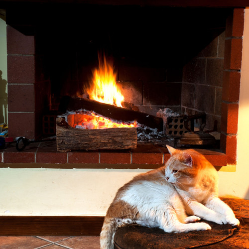 Feline Hearth: Binaural Fire Sounds for Relaxed Cats