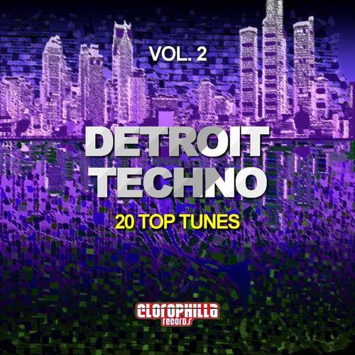 Detroit Techno, Vol. 2 (20 Top Tunes)