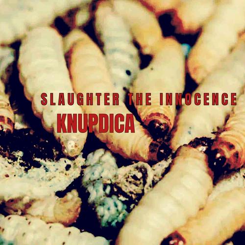 SLAUGHTER THE INNOCENCE / NU GABBER (Explicit)