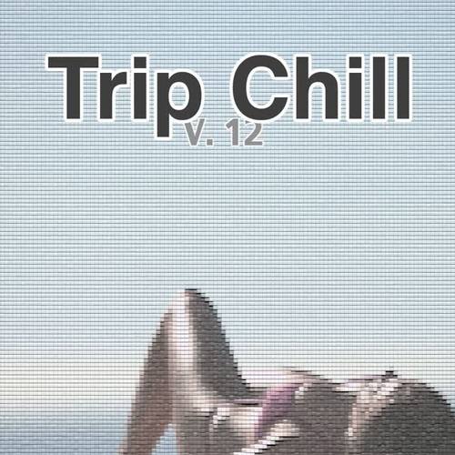 Trip Chill Vol. 12