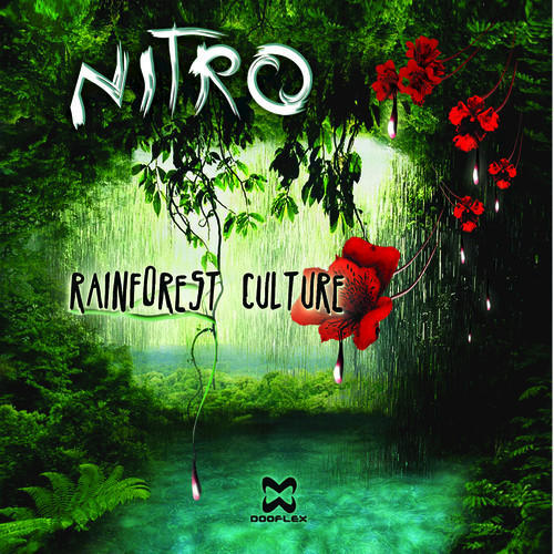 Rainforest Culture