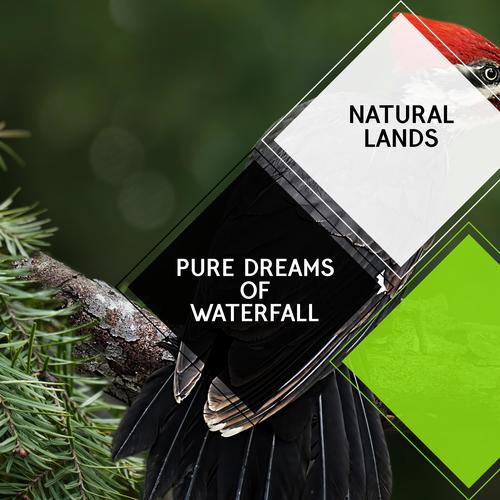 Pure Dreams of Waterfall - Natural Lands