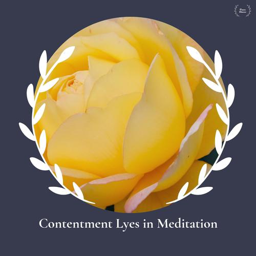 Contentment Lyes In Meditation