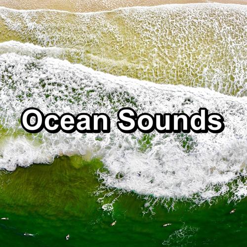 Ocean Sounds