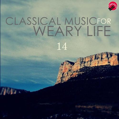 Classical music for weary life 14