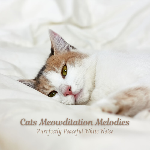 Cats Meowditation Melodies: Purrfectly Peaceful White Noise