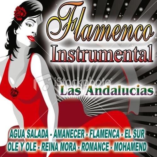 Flamenco Instrumental