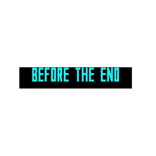 BEFORE THE END
