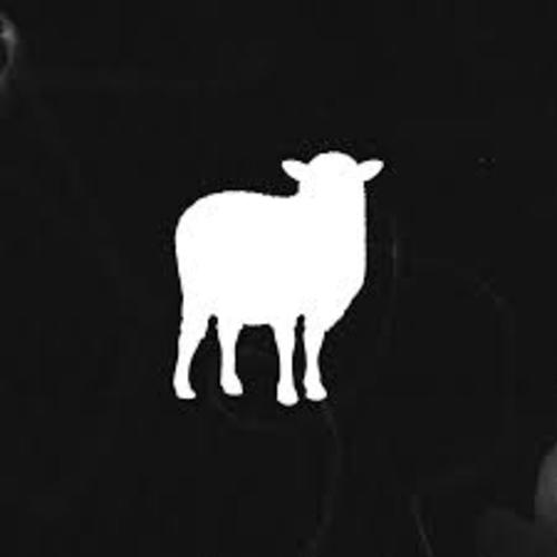 black sheep