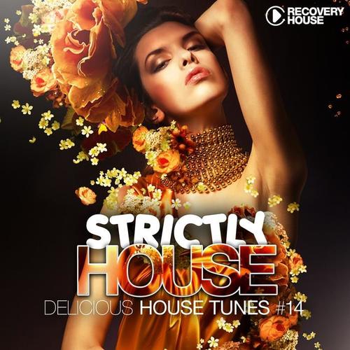 Strictly House - Delicious House Tunes, Vol. 14