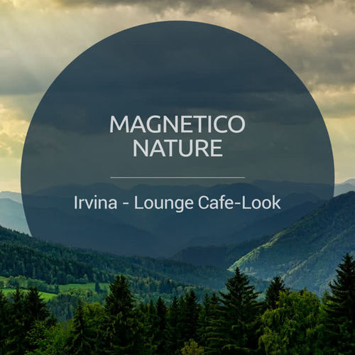 Lounge Cafe-Look