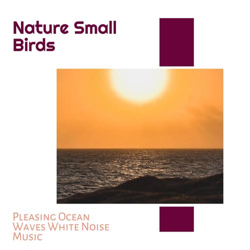 Nature Small Birds - Pleasing Ocean Waves White Noise Music