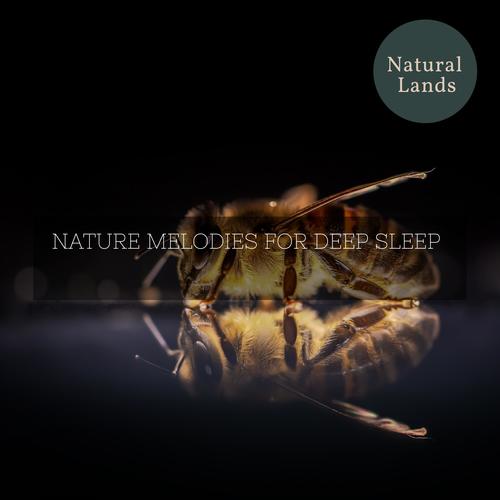 Nature Melodies for Deep Sleep