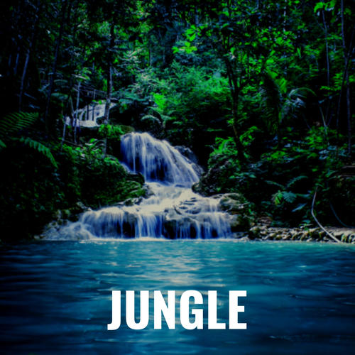 Jungle