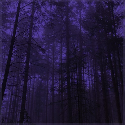 So Low (Explicit)