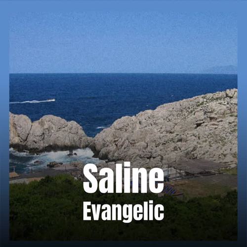 Saline Evangelic