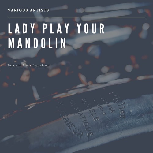 Lady Play Your Mandolin (Jazz and Blues Experience)