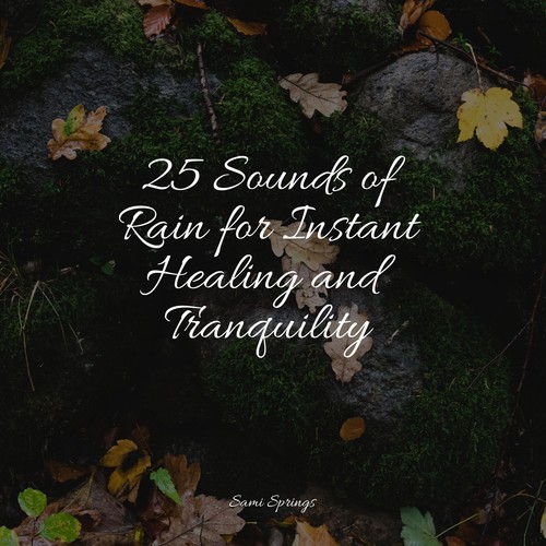 25 Calming Rain Sounds for Sleep and Serenity