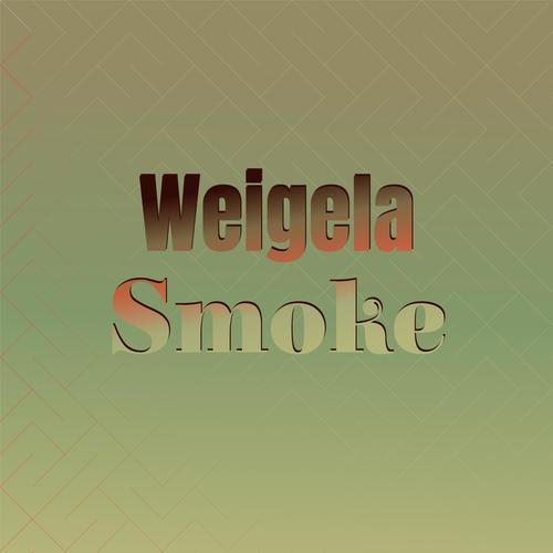 Weigela Smoke