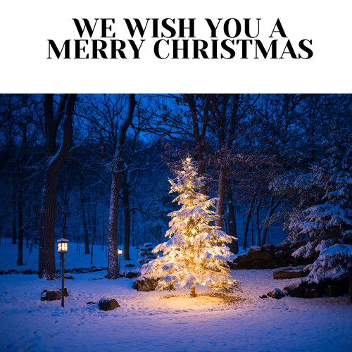 We Wish You a Merry Christmas