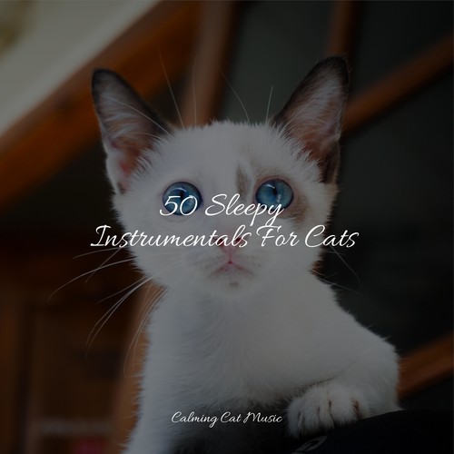 50 Sleepy Instrumentals For Cats