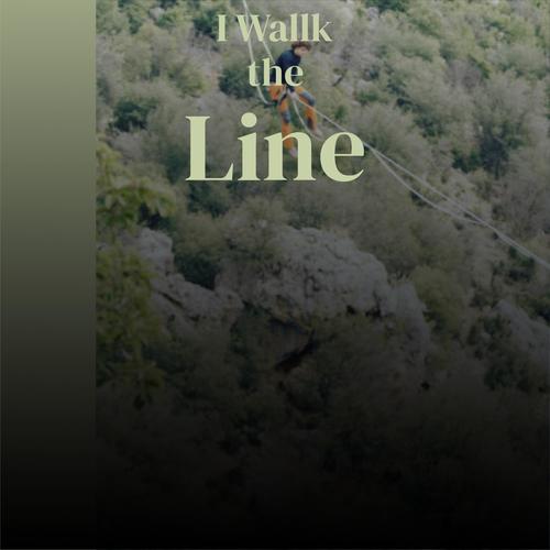 I Wallk the Line